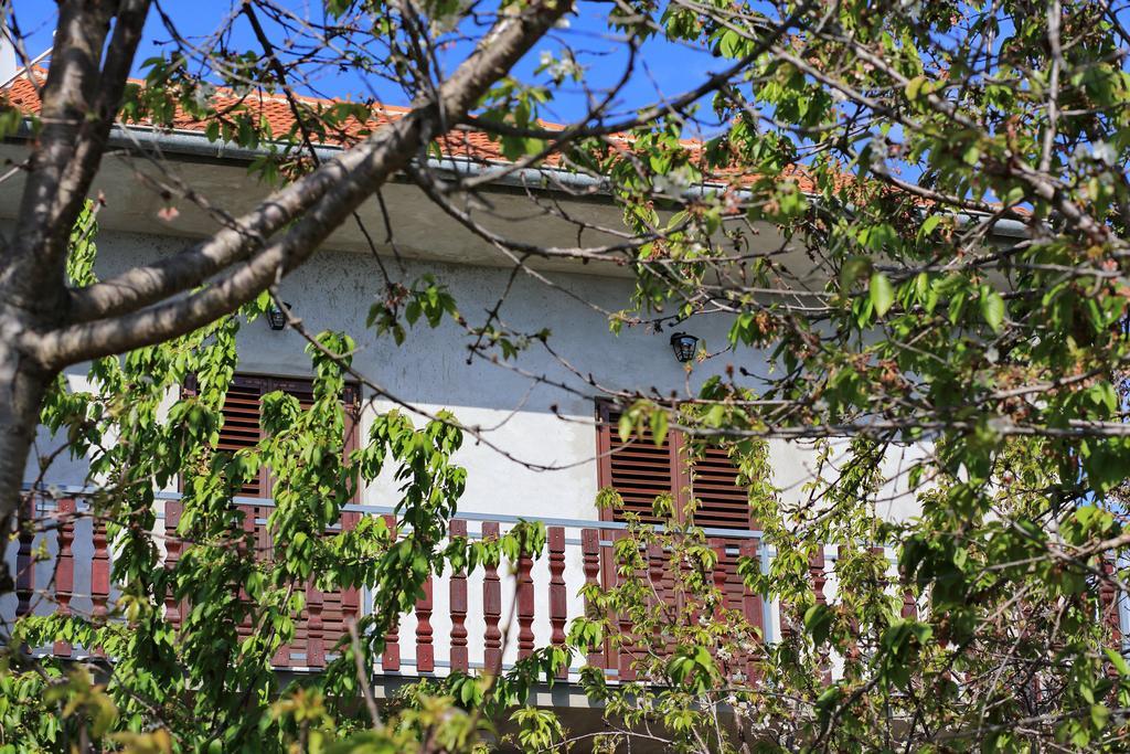 Apartment Ante Bibinje Eksteriør bilde